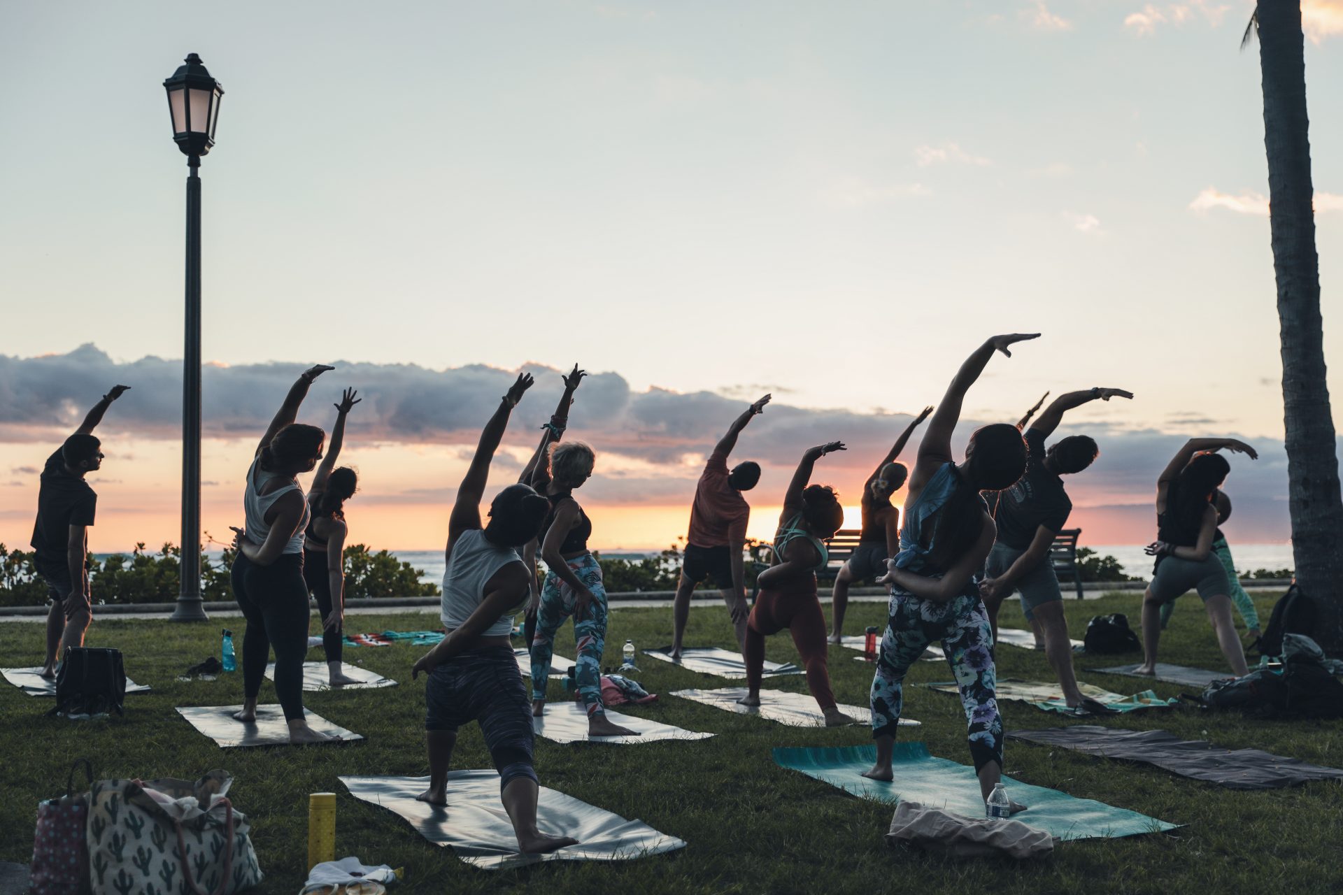 Yoga Under the Palms Unlimited Membership Yoga Under the Palms Hawaiʻi